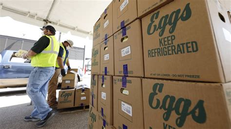 Bird flu has been detected at the largest chicken egg  .